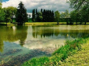 Němčický rybník